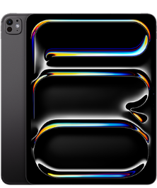 iPad Pro 256GB
